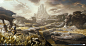 Jotunheim - The Glittering Fields