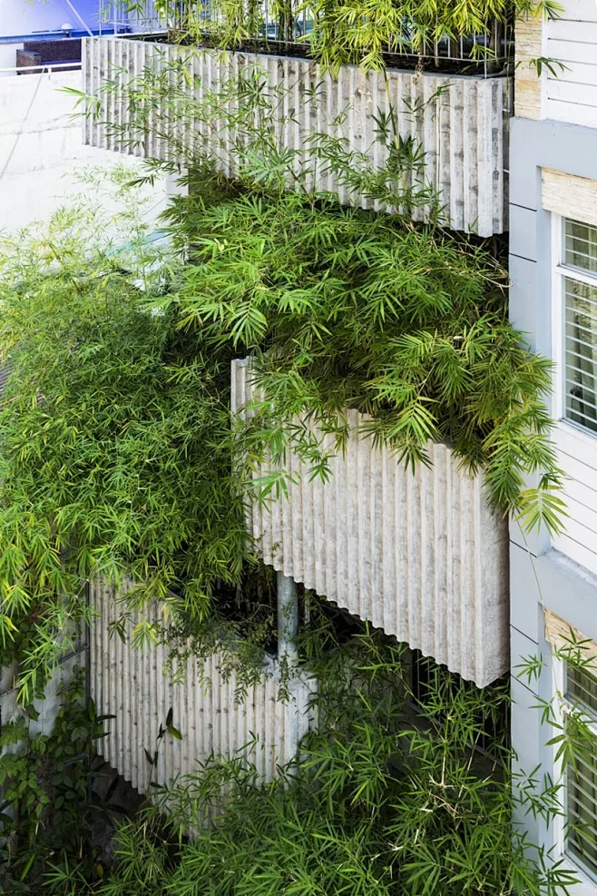 VTN architects' 'bamboo house' offers green solution to vietnamese ...