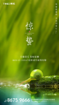 惊蛰