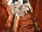 峡谷中的泡泡，美国 / Vincent Leroy : 通过视觉效果思考自然