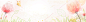 女装海报,淘宝首页,清新,感恩,母亲节海报,化妆品,海报banner,激情,狂欢图库,png图片,网,图片素材,背景素材,3561843@飞天胖虎