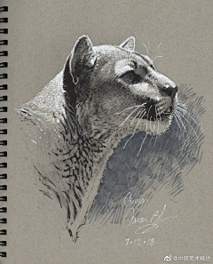 chongerfei采集到插画