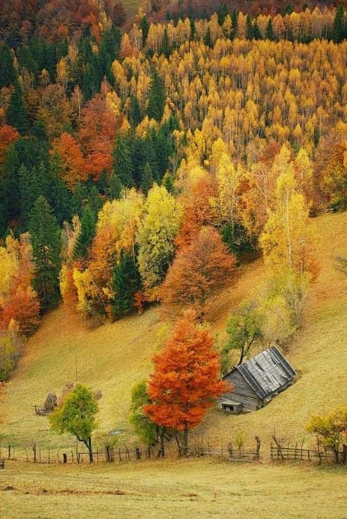 秋季，科罗拉多州韦尔 