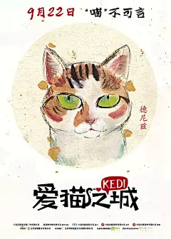 爱猫之城 Kedi 海报