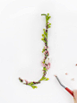 Alice Mouoru 花朵与文字 温馨生活摄影 艺术 自然 生活创意 环保 灵感 植物 文字设计 摆拍 