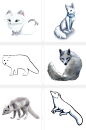 狐狸