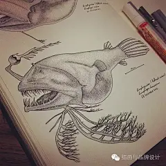 I&amp;B插画丨又是别人家的速写本，细腻持久的速写积累，才是插画师未来的灵感源泉