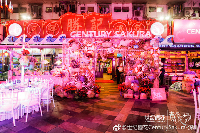 #世纪樱花3.18# 

『青春不夜场』...