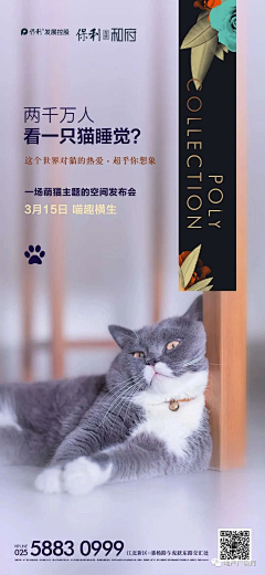 這里采集到动物