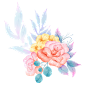 水彩彩色牡丹花花卉元素