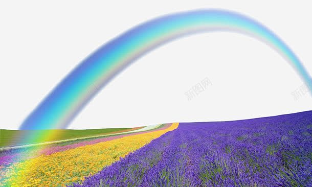 唯美的薰衣草花海彩虹 免抠png 设计图...