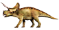 Triceratops : Find out more about Triceratops. Get information about Triceratops and discover interesting facts with DK Find Out, to help kids learn.