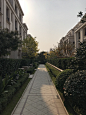 西溪明珠-02