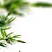 e53d0e9c793b971e7b463fbc9700f833b5a2b83c4e1828-FjuuKH