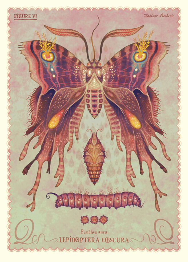 Fictional Butterflie...