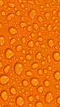 Orange | Orange...orange...orange. <a class="text-meta meta-tag" href="/search/?q=采集大赛">#采集大赛#</a>