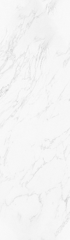 ·Yz采集到B-白色white