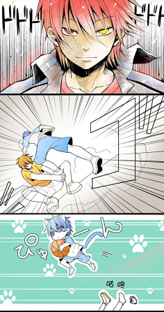 九条归鹤采集到团宠黑子