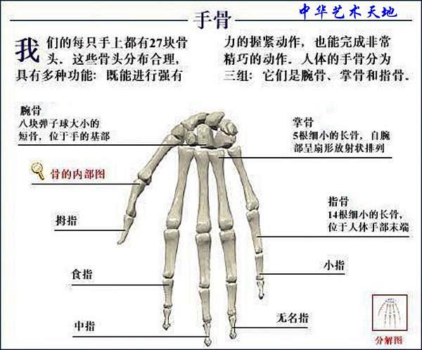 点击查看源网页