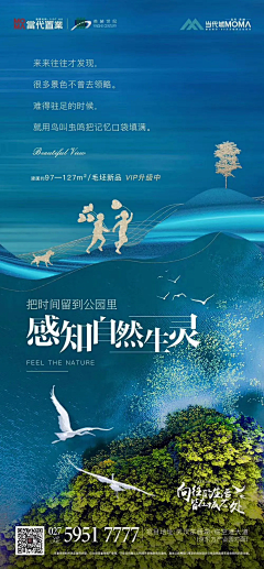562679161采集到单图调性