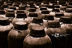 奔跑吧-蜗牛采集到酒