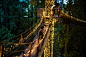 Canyon_Lights_Capilano_Suspension_Bridge_Park_Vancouver_Canada_Featured.jpg (1500×1001)