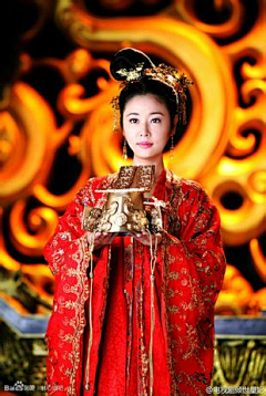 詩羽殇采集到林心如