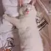 我喝美式