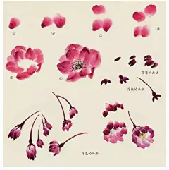 【  水墨花卉 · 步骤教程 …  】 ​ ​​​​