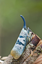 earth-song:

Pyrops heringi by orionmystery