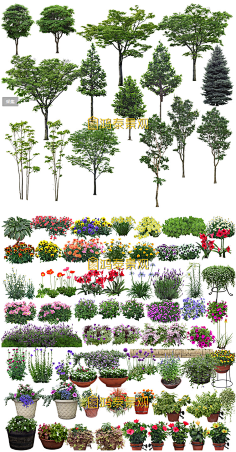 com园林景观设计psd树木植物近景花乔花灌木花卉绿篱后期ps分层素材