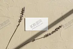 文艺光影名片样机 【酷图网】淡雅,薰衣草,小清新,素雅,香薰,肥皂,美妆,女性,护肤,精油,名片,服饰,服装,样机,卡片,明信片,墙壁,质感,纹理,光影,影子,树影