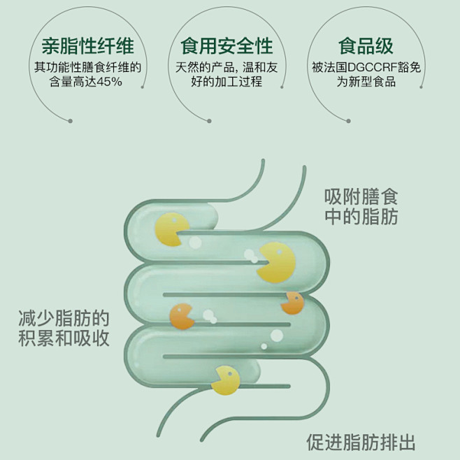 BS美安圣抗糖抗油组合白芸豆碳水淀粉阻断...