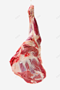 生鲜肉类羊肉骨头实物高清素材 设计图片 页面网页 平面电商 创意素材 png素材
