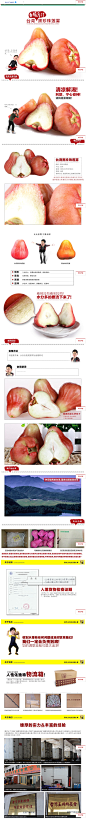 台湾进口黑珍珠莲雾16颗装 新鲜水果 顺丰包邮-tmall.com天猫