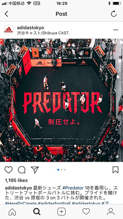 morandan采集到活力精彩