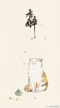 猫咪 来源weibo