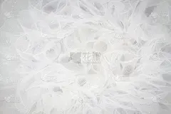 白色,背景,薄纱,衣服,纺织品,脆弱,图像,新娘,婚礼,美国