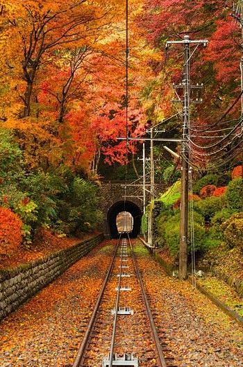 高尾山，八王子市，日本