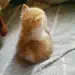 赛艇程