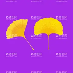 手绘银杏树叶  - 源文件下载【酷图网】手绘银杏树叶,银杏树叶,银杏,银杏叶,手绘树叶