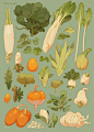 Vegetables