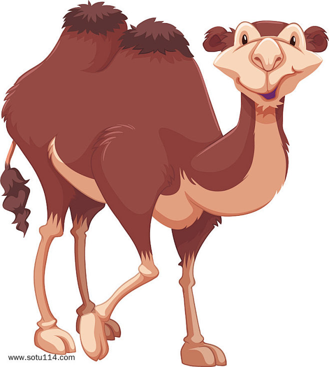 卡通手绘可爱骆驼