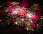 Fractalscape - Wonderful Fractal Art of Flowers 1280x1024第1张桌面