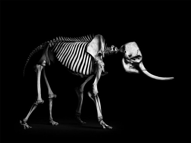 Patrick Gries evolut...