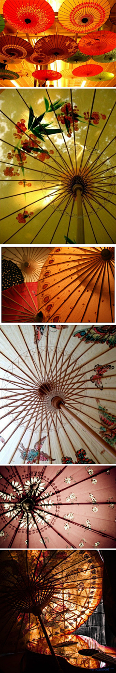 我常常为爱美到哭泣采集到生活之美在于发现