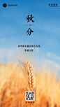 秋分金融保险节气祝福实景海报