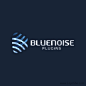 BLUENOISE国外插件Logo设计