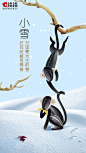 洽洽肖小雪.jpg