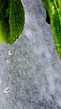 夏雨滂沱